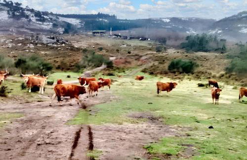 Charming house in Riba de Mouro with terrace and parking - Foto 26