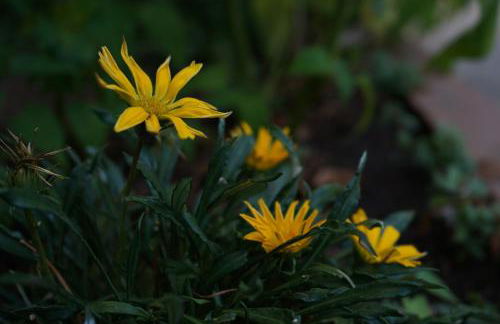 Loiacono Apartments 2 - Foto 50