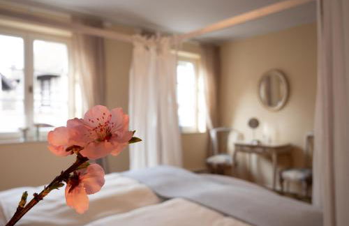 REFUGIUM Theresienstraße 19 - Chambre Morisot - Foto 2