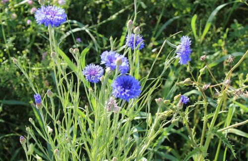 Appartement-Stetten - Foto 17