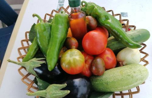 Cortijo Claudia - Foto 41