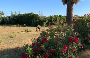 Finca Dos Vientos Tarifa - Foto 8