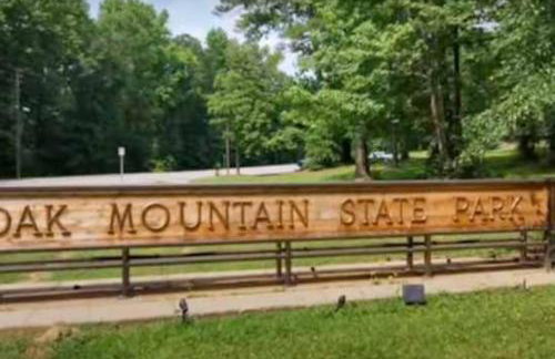 Grandview Apartment near Medical Ctr - Photo 54