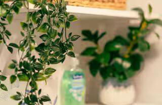 Cozy, Beautiful Apartment at Avanti Cove - Foto 9