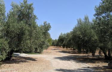 La Noguera de Baena - Foto 24