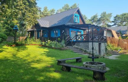 Niezapominajka - Foto 16