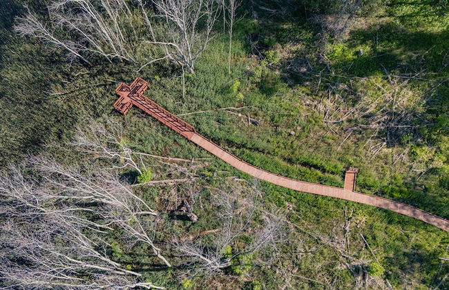 The Rushes - Foto 51