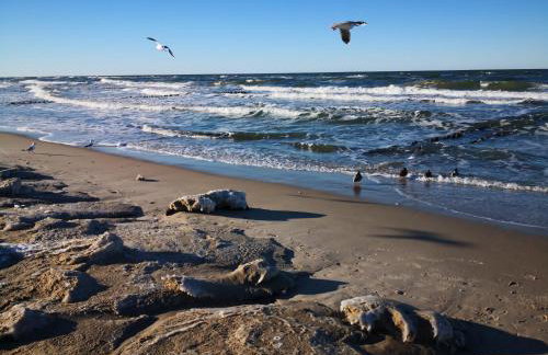 Apartament Sound of the Sea - Photo 23