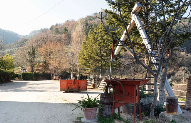 Sun-kissed Holiday Home With Swimming Pool - Photo 10
