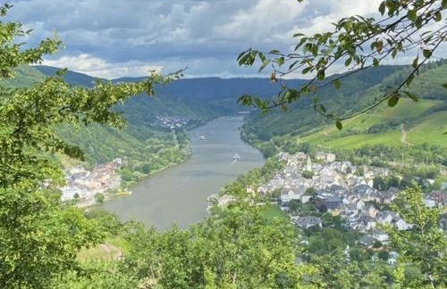 vakantiehuismoezel - Foto 15