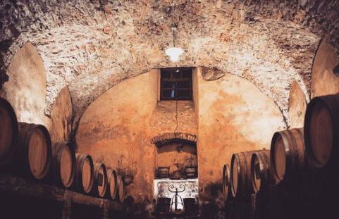 Villa Redona - Photo 16