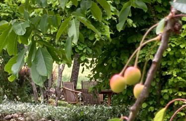 Les fontanelles du quercy blanc - Foto 28