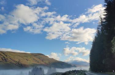 Craiglea Thistle - Foto 10