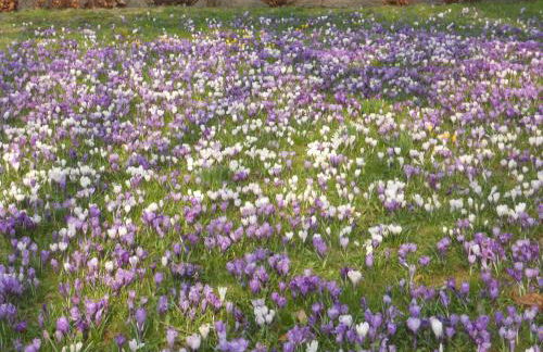 Ferienhaus Zittau Oberlausitz & Ferienwohnung am Hamann Berg - Foto 56
