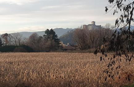 Contrada d'Amore - Foto 6