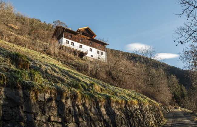 David am Buchhammerhof - Foto 24