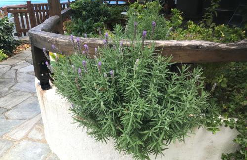 Aegean Sunset - Foto 12