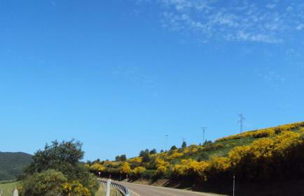 Casa de Lucas - Foto 7