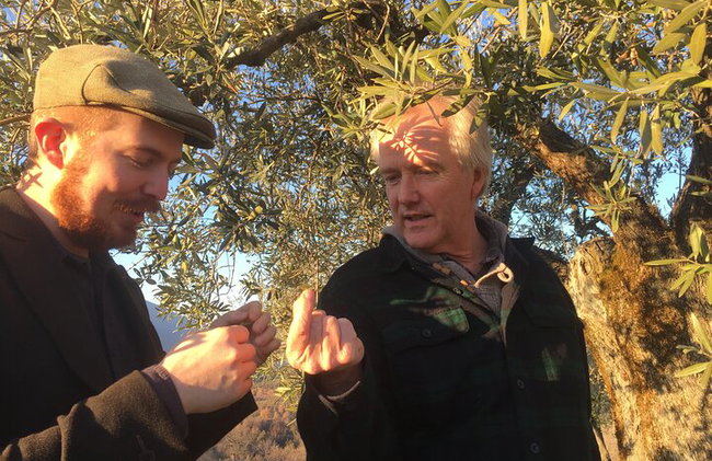 Excursão privada de dia inteiro de azeite com degustação em Valência - Foto 6