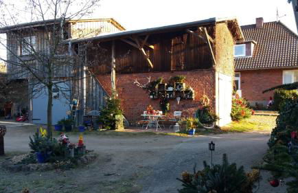 Mühlenteich in der Oldenstädter Wassermühle - Foto 16