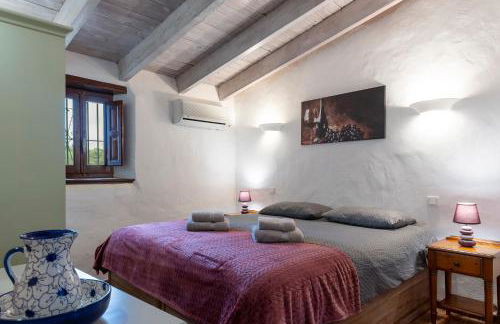 Casa Uva española, SL - Foto 3