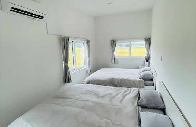 TOMATO CUBE - Foto 3