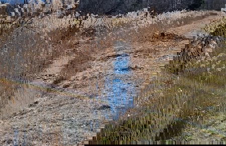 Villa Alpenpanorama - Foto 36