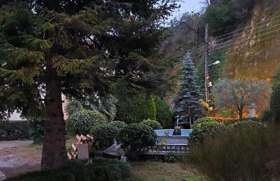 The Cozy Residence - Photo 5