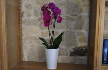 La Parenthèse Comtoise - Foto 32