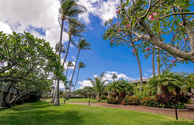 Napili Shores Maui by OUTRIGGER - Foto 55