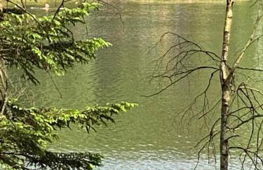 Carpinus II domek nad jeziorem - Foto 28