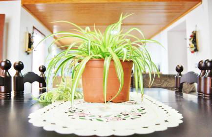 Casas Rurales Los Teatinos - Foto 42