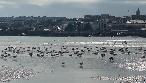 2 Bedroom Cottage sleeps 4, with Pool Use, Sennen - Foto 2