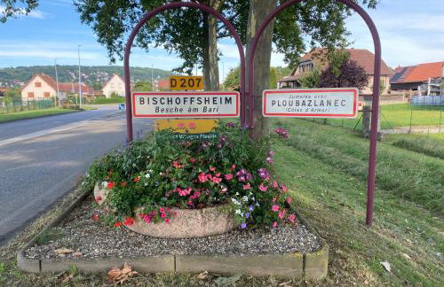 Gîte au Pied du Bischenberg - Foto 26