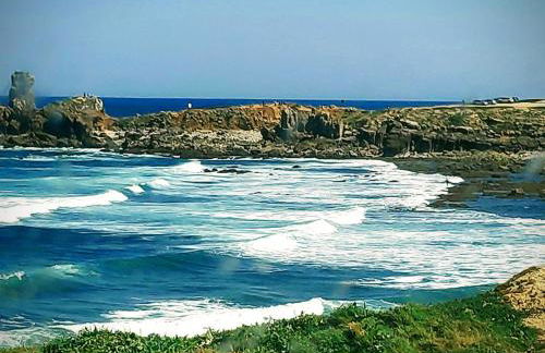 Supertubos - Peniche - Consolação - Foto 21