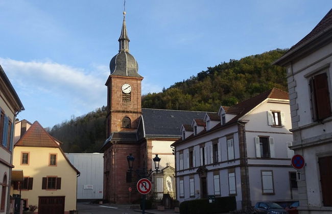 House Near Vosges Park and La Petite Pierre - Foto 29