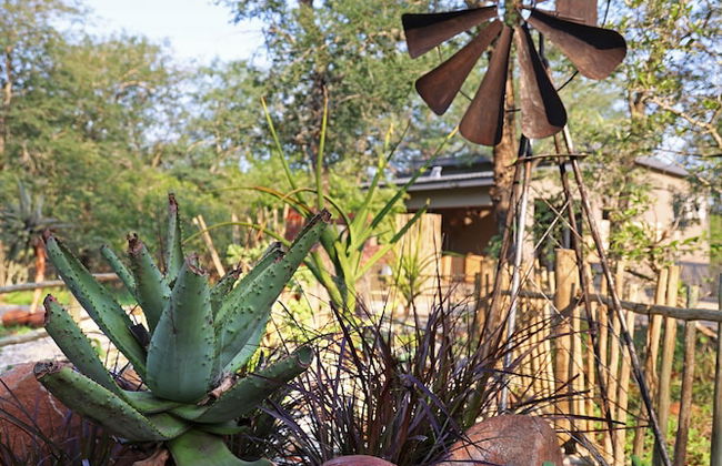 Grace of Africa - Photo 55