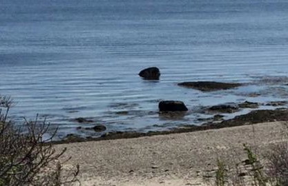 Rustic Cabin on Sturdivant Island with Views of Casco Bay in Falmouth, Maine - Foto 9