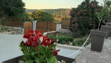 House FoRest - Foto 4