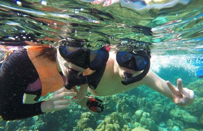 Snorkel en Sharm El Luli y Wadi El Qulaan - Foto 1