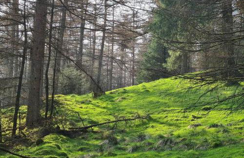 Mill Cottage, Upper Hulme - Photo 33