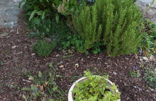 Country house for animals and nature lovers - Photo 27