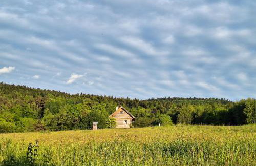 Zacisze Babci Ludwisi w Beskidzie Niskim - Photo 9