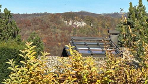 Harzer Sonnenalm - Foto 5