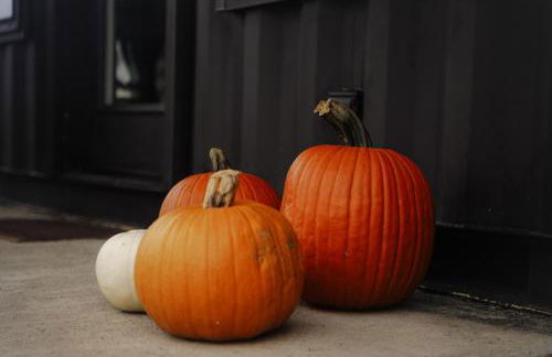 ‘Scenic Escapes’ Romantic Pine Grove Getaway! - Foto 13