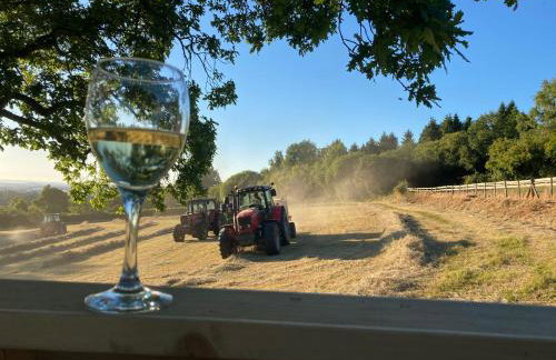 Pet Friendly - 2 Guests - Original Roadsmans Wagon - Foto 18