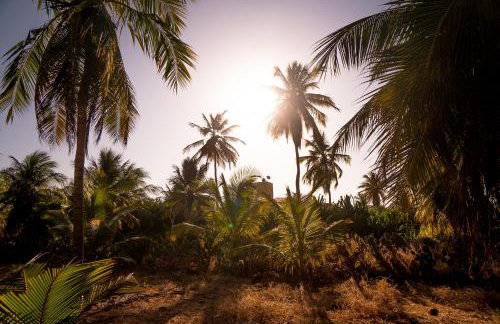 Refúgios Parajuru - Photo 78