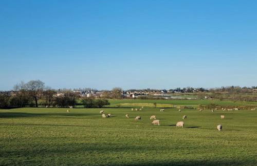 Bowland Breaks-A Luxury Barn Conversion with Optional Hot Tub, Log burner and countryside views - Foto 15