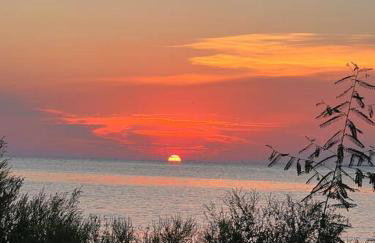 Beach Please! Complimentary 6-Seater Golf Carts! - Foto 24