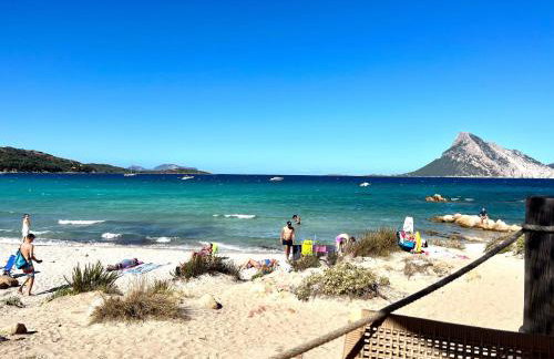 Villa Alzoni - Foto 34